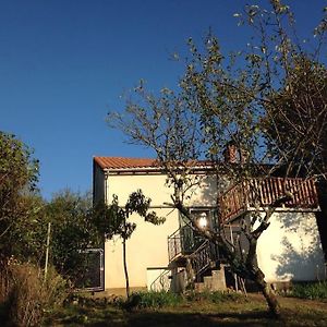 La Petite Maison Rustique Villa Eyzerac Exterior photo