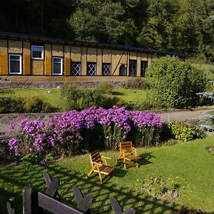 Idyllic Studio Apartment Near Kaifenheim And Near The Forest Exterior photo