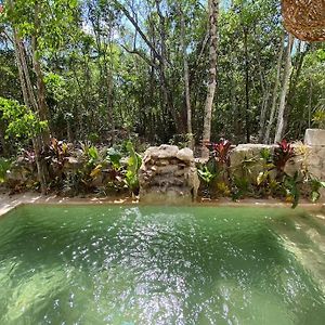 Apartamento Little Oasis With Private Pool In The Jungle Chemuyil Exterior photo
