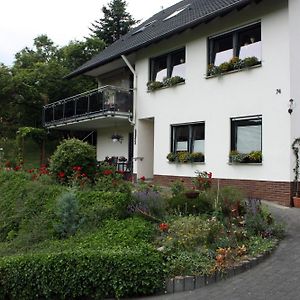 Apartamento Auf Dem Kleeberg Niederzissen Exterior photo