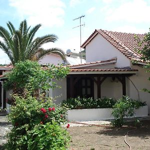 Apartments Korakakis Beach Finikounta Exterior photo