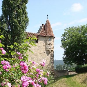 Hotel Weingut Gaestehaus Weigand Iphofen Exterior photo