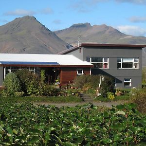 Dilksnes Guesthouse Höfn Exterior photo