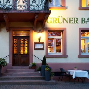 Hotel Grüner Baum Merzhausen Friburgo de Brisgovia Exterior photo