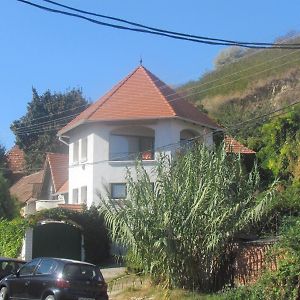 Hotel Magda Vendégház Tokaj Exterior photo