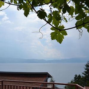Villa Fania Ohrid Exterior photo
