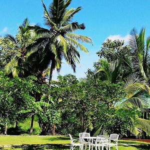 Rajarata Lodge Anuradhapura Exterior photo