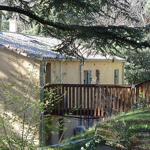 Le Murmure Des Cedres - Gite En Cevennes Villa Saint-André-de-Majencoules Exterior photo