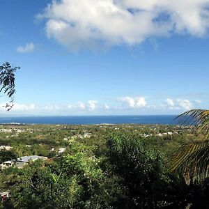 Oceanview Apartment With Garden Access Vieques Exterior photo
