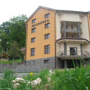 Hotel Pension Waldburg Rîşnov Exterior photo