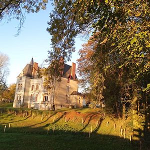 Le Chateau Du Grand Coudray Villaines-la-Juhel Exterior photo