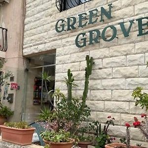 Green Grove Guest House San Julián Exterior photo