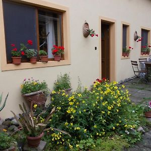 Hotel Casa Lia Sighişoara Exterior photo