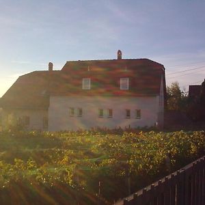 Berkes Vendégház Bed and Breakfast Badacsonytördemic Exterior photo