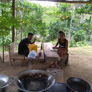 Bukit Lawang Landak River Guest House Exterior photo