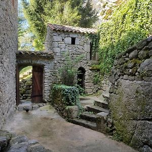 Gite Pommier Au Chateau Des Pauses Villa Saint-André-de-Majencoules Exterior photo