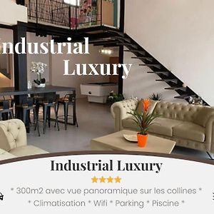 Industrial Luxury Nimes & Arles Villa Beaucaire  Exterior photo