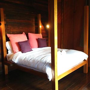 Sepilok Forest Edge Resort Room photo