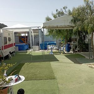 Camping Mascotas cerca de Alicante Sax Exterior photo