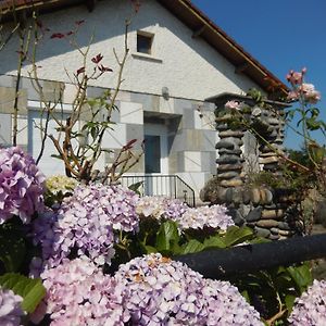 Maison De Plein-Pied, Lumineuse,Quartier Agreable, Proche Montagne Villa Labarthe-Riviere Exterior photo