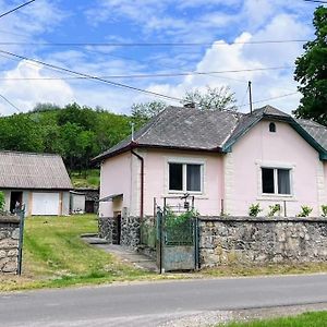 Vakantiehuis Vendeghaz Sylvatica Villa Bukkszentmarton Exterior photo