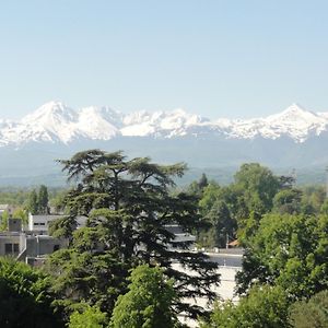 Apartamento Cap Sud - 53M2- Vue Pyrenees- Hypercentre-Wifi Fibre Tarbes Exterior photo