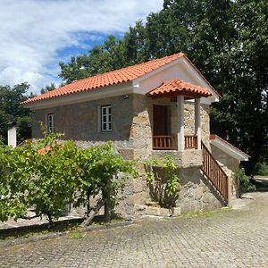 Quinta Da Cavada - Casa Da Tertulia Villa Vouzela Exterior photo