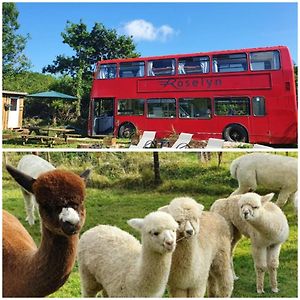 Double Decker Bus On An Alpaca Farm Sleeps 8, 5 Mins Drive To Dartmoor Villa Bovey Tracey Exterior photo