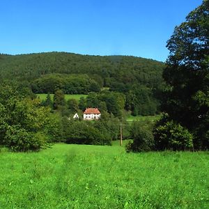 Apartamento Haus Am Knopf Bobenthal Exterior photo