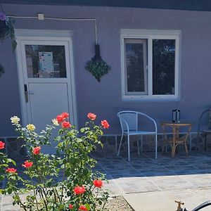 The Purple House-Villa In Bucarest Exterior photo