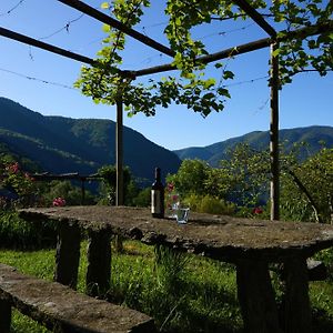 Apartamento Wild Valley Garden Paradise In Valle Onsernone Auressio Exterior photo