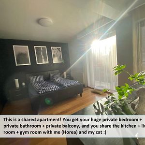 Funkadelic Retreat Transylvania, Private Room&Bath In Shared Apartment With Host&Cat Cluj-Napoca Exterior photo