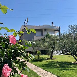 Apartments 3D Ulcinj Exterior photo