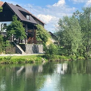 Riverside House Krka Villa Zagradec Exterior photo