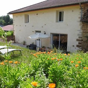 Gite Renove 3 Chambres Avec Cour Et Terrasse, Proche Musee Et Voie Verte Vers Le Lac Du Der - Fr-1-611-63 Dommartin-le-Franc Exterior photo