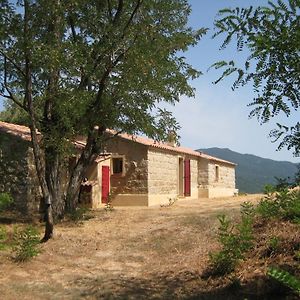 Maison Charmante Avec Jacuzzi Et Vue Sur Montagne A Sartene Villa Exterior photo