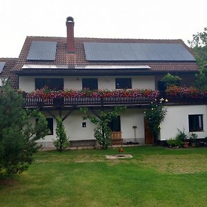 U tří jasanů Villa Luže Exterior photo