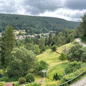 Apartamento Wohn-Eitel Romantik Bad Wildbad Exterior photo