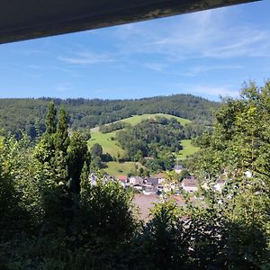 Apartamento Das Tor Zum Odenwald Gorxheimertal Exterior photo