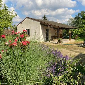 Le Bois Neuf Villa Savigny-Sur-Braye Exterior photo