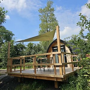 Hotel Tiny House De Kwekfink Westergeest Exterior photo