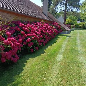 Hotel Gite De Miprovent Lamotte-Beuvron Exterior photo