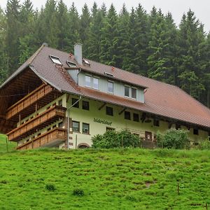 Apartment On A Farm On The Edge Of The Forest Mühlenbach Exterior photo