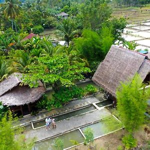 Tropical Jungle Lodge & Jungle Trekking Bukit Lawang Exterior photo