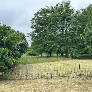 Domain De Montvert - 5 Min From Saint Emilion Villa Sainte-Terre Exterior photo