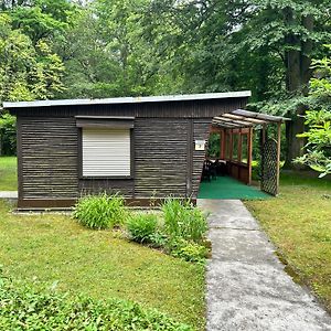 Ferienhaus Im Rhododendronpark Kromlau Villa Exterior photo