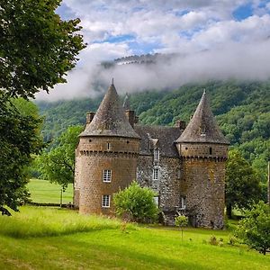 Chateau De Longevergne Bed and Breakfast Anglards-de-Salers Exterior photo