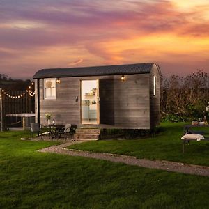 Nori'S Nest, Shepherds Hut, Croft Hooper Villa Ludgvan Exterior photo