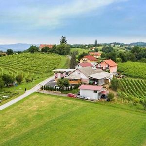 Guesthouse Prenocisca Sirec Ptuj Exterior photo