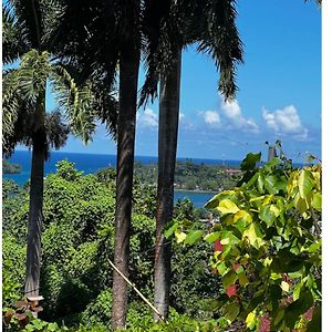 Hotel Angelaspalace Port Antonio Exterior photo